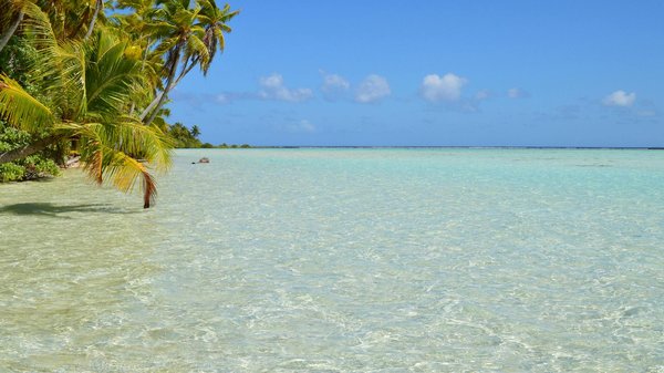 Hôtel tranquille à Saint-Germain-des-Prés : un havre de paix