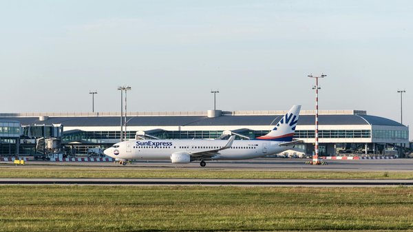 Circuit touristique en Afrique : le continent à l'état brut