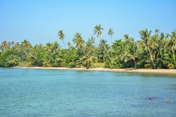 Séjournez à l'hôtel de seine : calme et sauna à paris 6